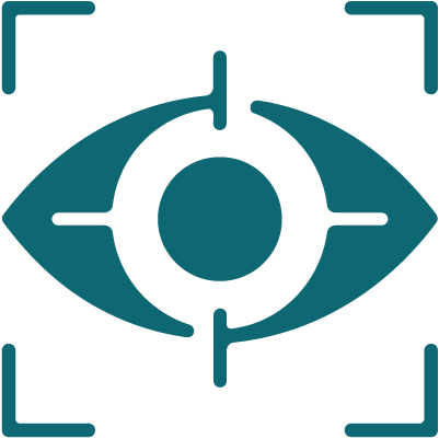Vision